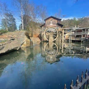 Meet your Posher, Maddox